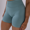 Sculpt Seamless Shorts